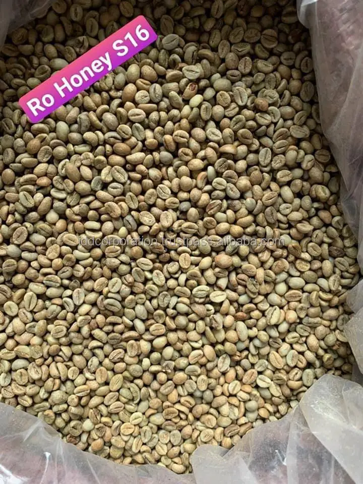 Хит продаж новый урожай зеленый зерновой кофе Robusta/Арабика цельные бобы высокое качество жареный Лучшая цена