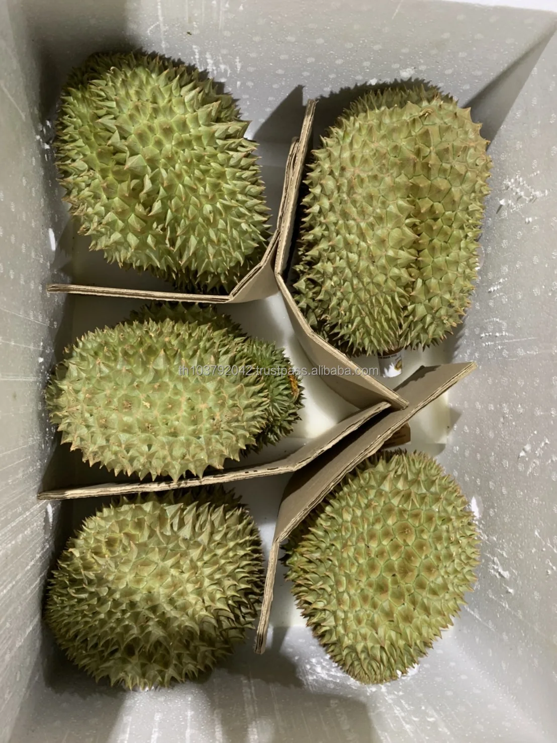 Premium Fruit  Fresh Durian From Thailand