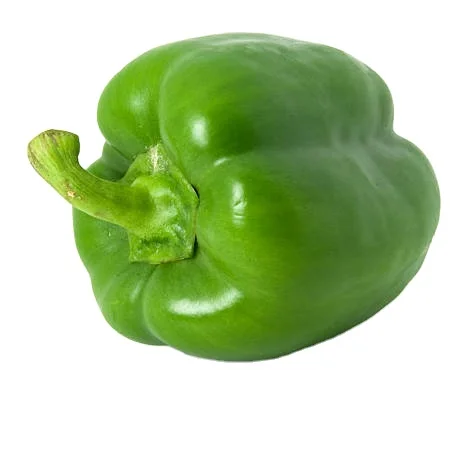 Овощной Зеленый Перцовый органический завод, поставка свежих продуктов, овощи и фрукты, высокое качество, оптовая цена