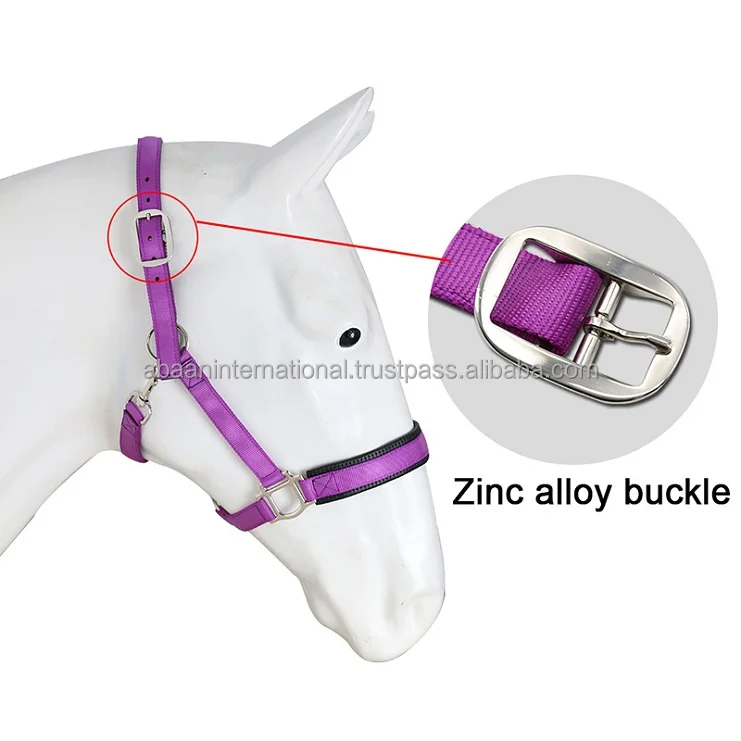 Top Selling High Quality Horse Nylon Halter Plain Head Collar Racing Manufacturer in India