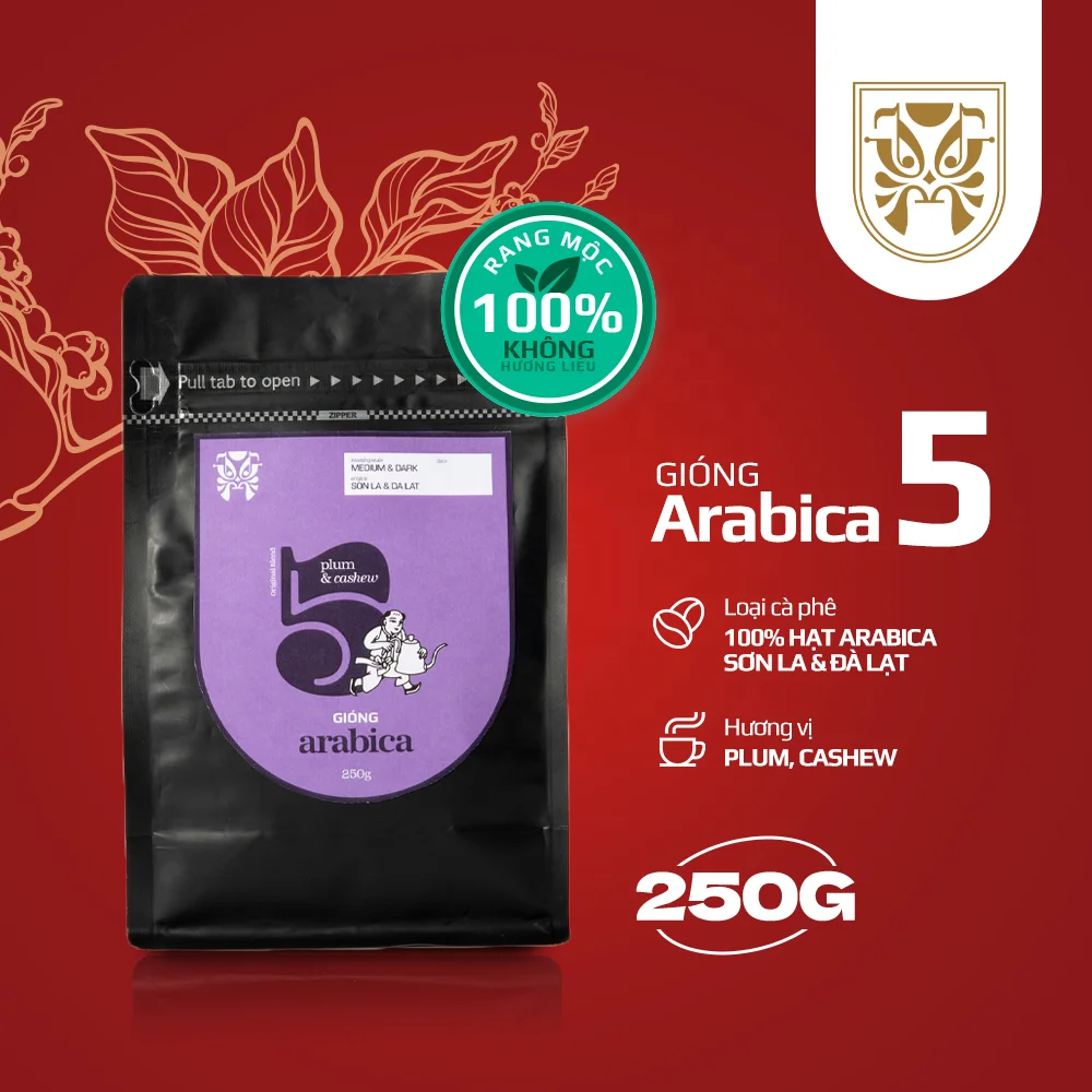 100% кофе Арабика отлично подходит для наполнения и погружения смесь Giong 2 соединение легкое среднее обжарение целых бобов