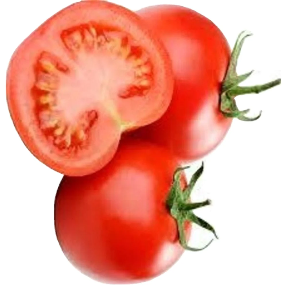 Розовый Красный томат Roma VF OP verity