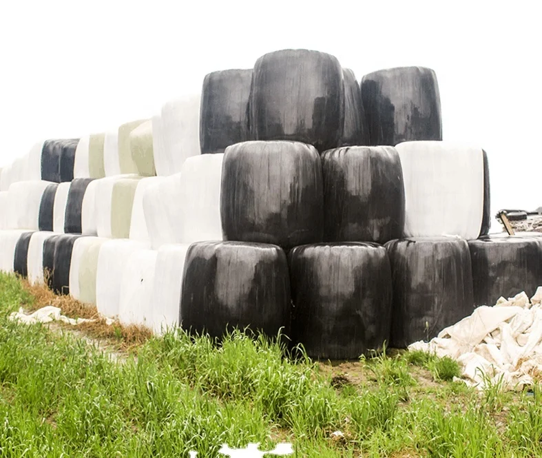 Wholesale Corn Silage Disease-Free Animal Feed for Cattle