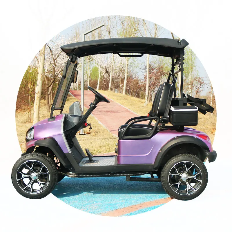 Golf Cart With Curtis Controller 2 Seater Electric Lithium Battery Golf Cart Off-Road Golf Carts