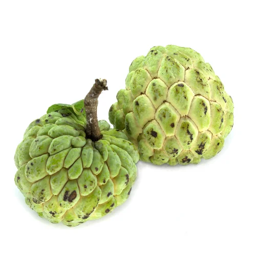 New Product 2022 Viet Nam Fresh Fruit Supplier High Quality Good Price Wholesales Fresh  Custard Apple Fruits Bag 1 Ton