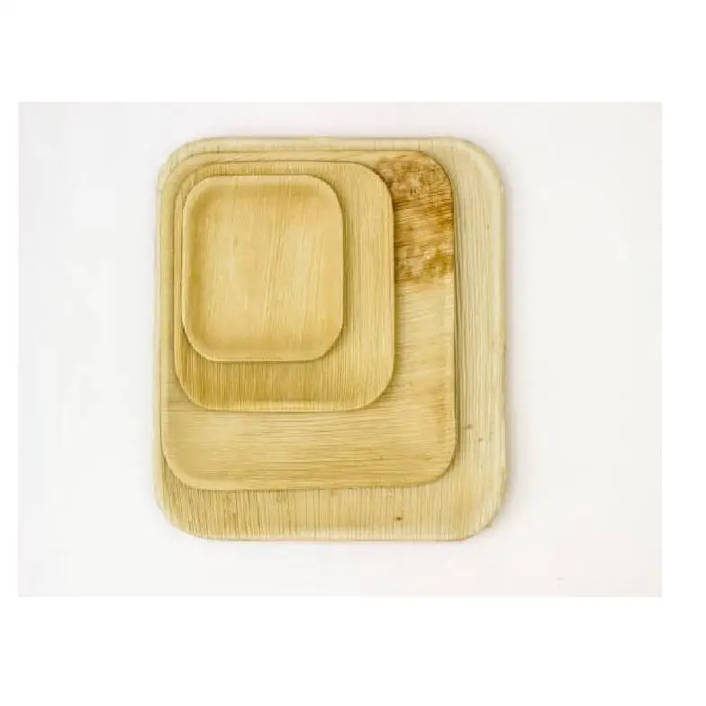 Eco-Friendly Strong Bamboo Compostable Square Plates Patterned Dinner Dishes for Home Parties & Charity Events