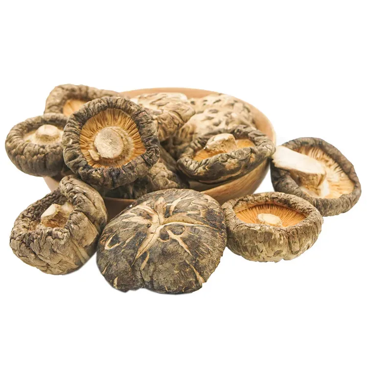 Organic Dried Shiitake Mushroom Dried Food High Quality Shiitake Mushroom Wholesale Price- Neal