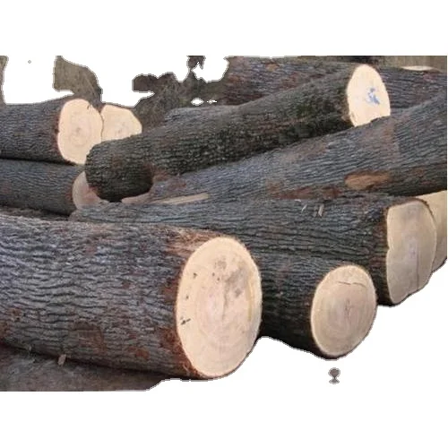 Древесина бука KD 10-12%