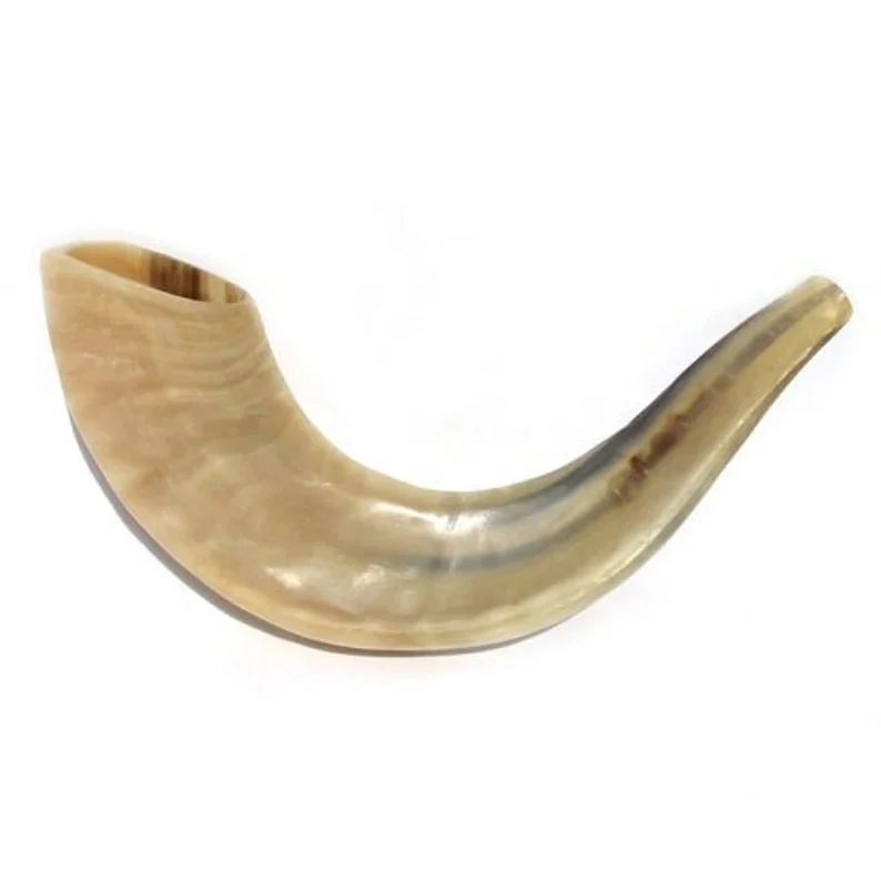Shofar (horn) rosh hashanah yom kippur traditional symbol of the jewish holiday