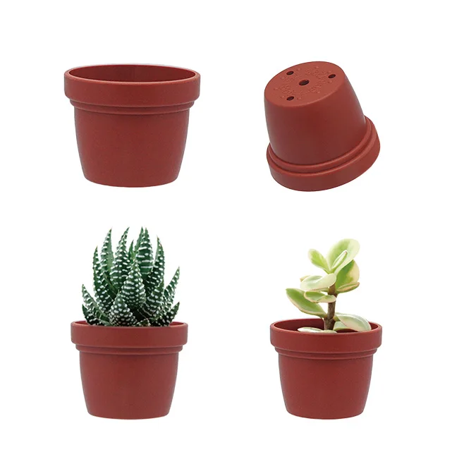 Min succulent pot and tray holder