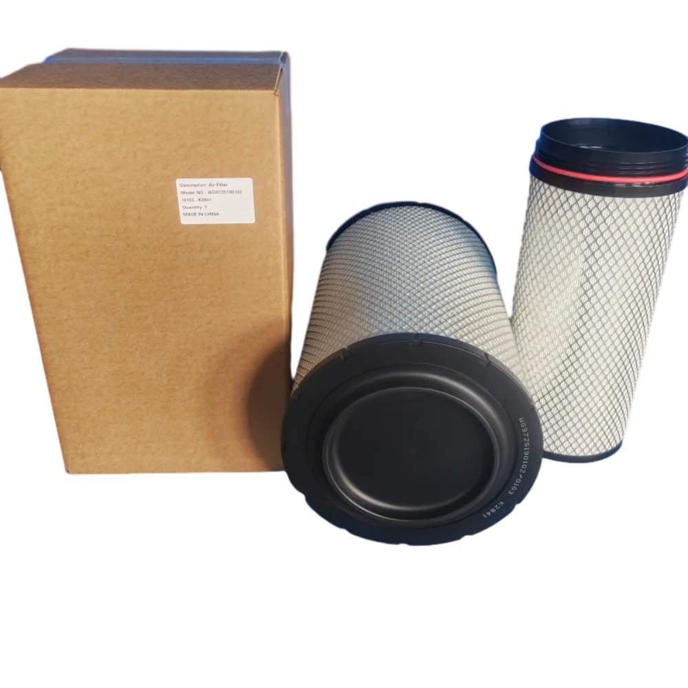 Hot sale Factory direct Diesel Fuel Filter 1000422382 for WEICHAI WP10 engine