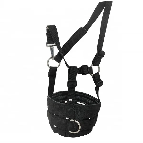 Online shopping Grazing Muzzles for Horse Easy Breathe Comfortable padded nose quick release throat lash Riding House Kanpur