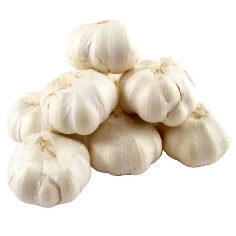 PRODUCRES OF INDIAN GARLIC FRUITS COMPANY