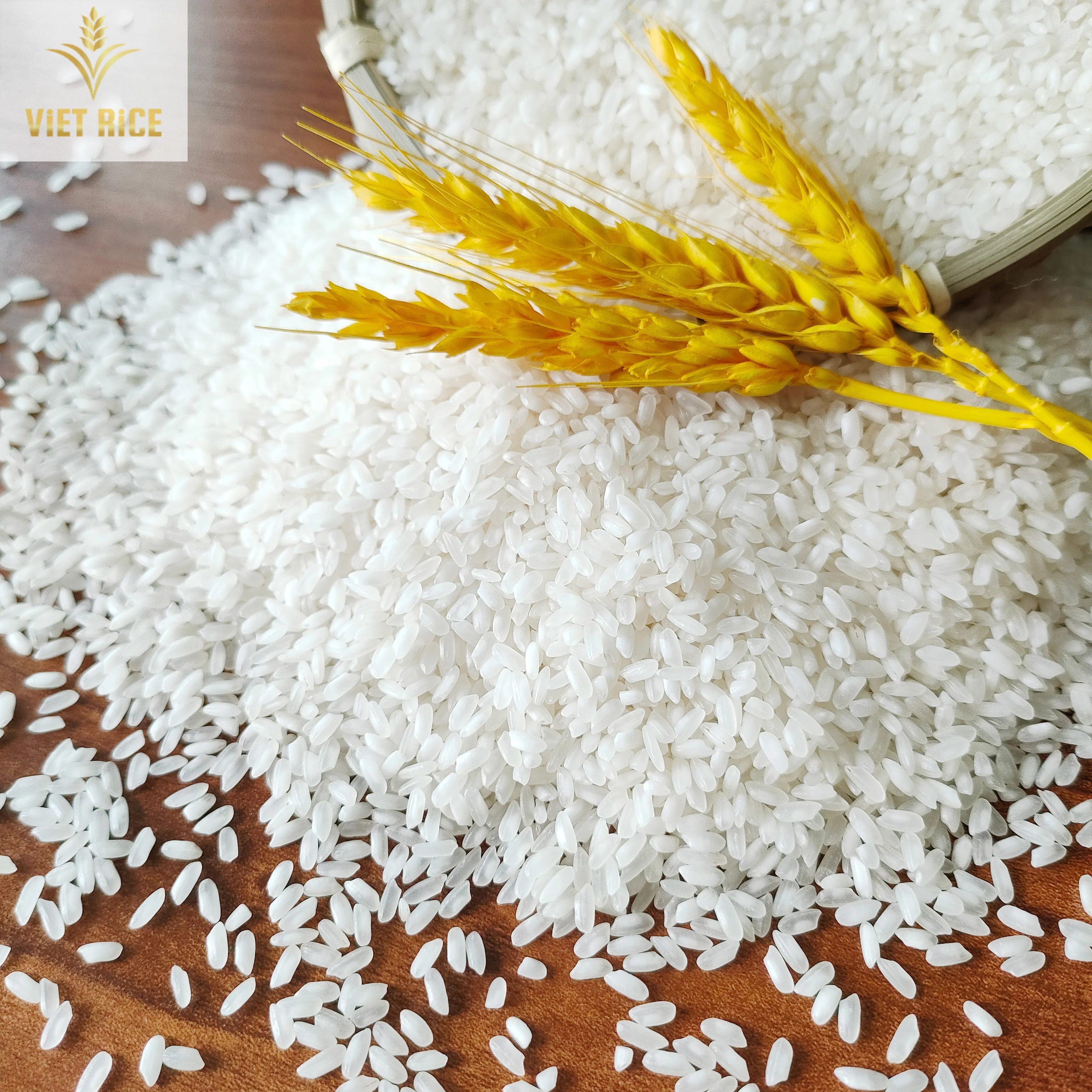 The best medium grain white - EGYPTIAN CAMOLINO 5% broken with high quality, large quantity and competitive prices from VIETRICE