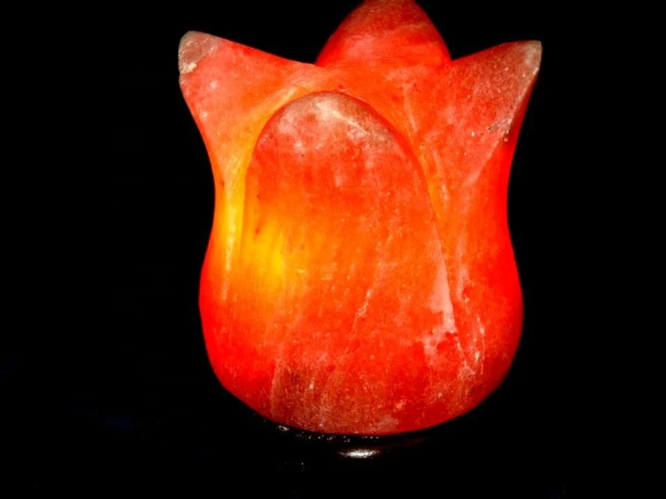 Wholesale 100% Pure Himalayan Salt Lamps High Quality Carved Polished in Popular Bowl Pyramid Styles Decorative Natural Crafts