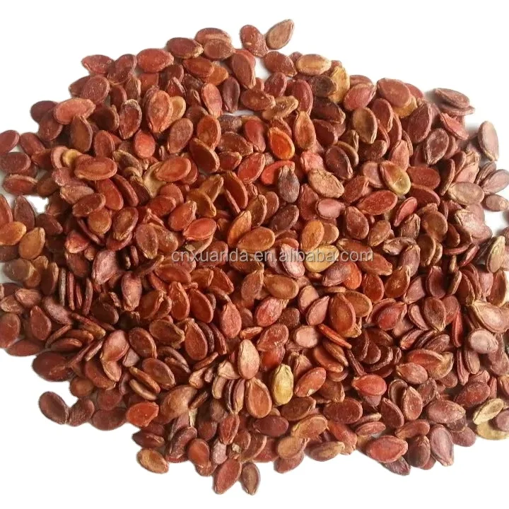 China origin good quality red watermelon seeds