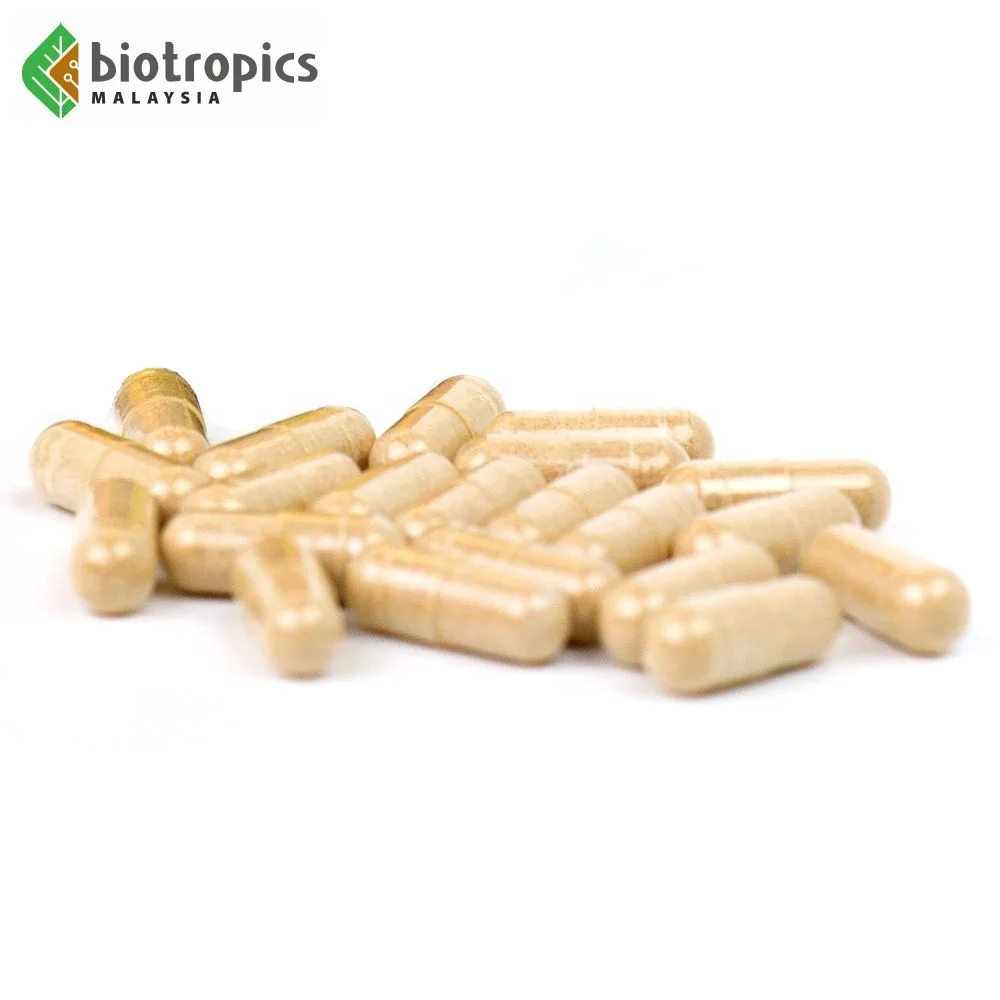 High-Quality Bulk Tongkat Ali Capsules 200mg Standardized Eurycomanone for Sports Performance and Fatigue Recovery Wholesale