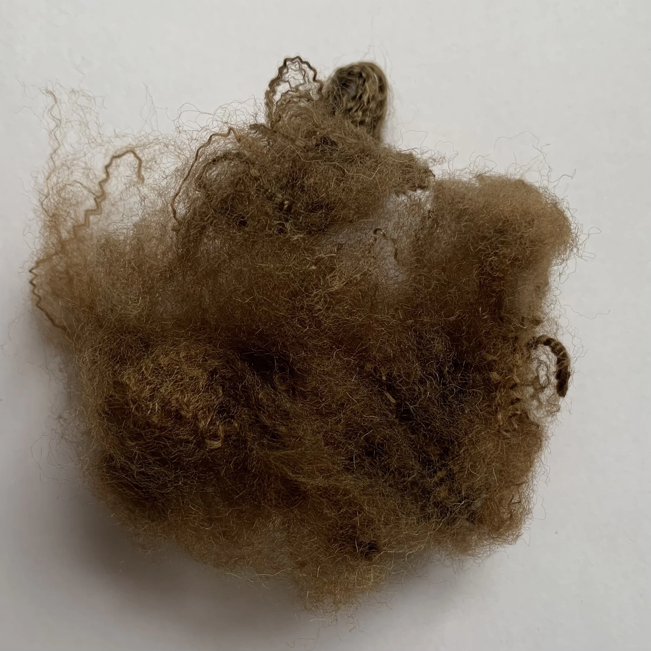 GRS certified Bishen 100% green staple polyester fiber