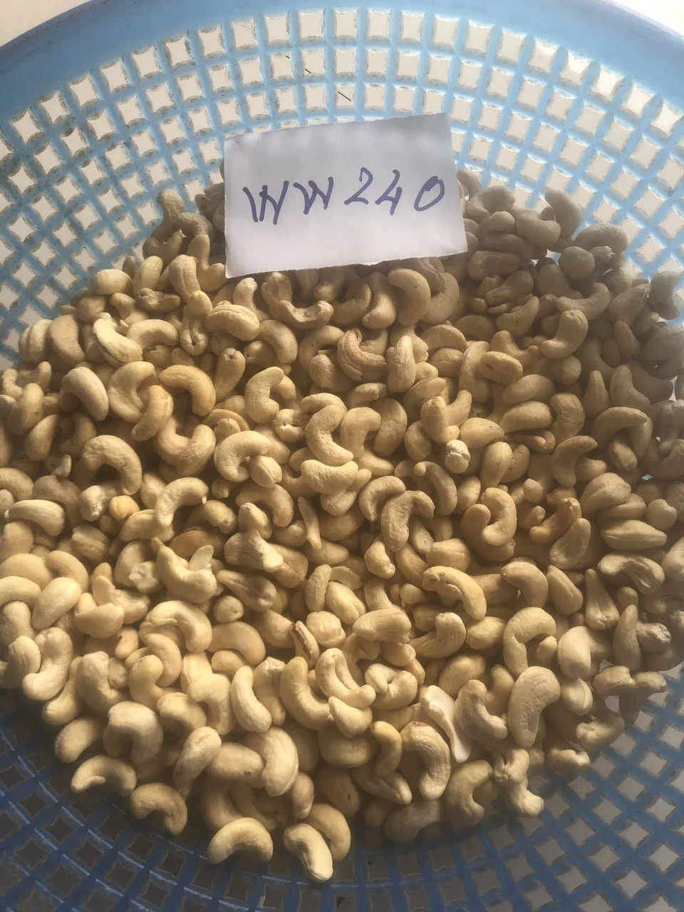 Высококачественная Белая ядра кешью ww450 по хорошей цене вкусный Производитель Органических ядер ореха из Вьетнама