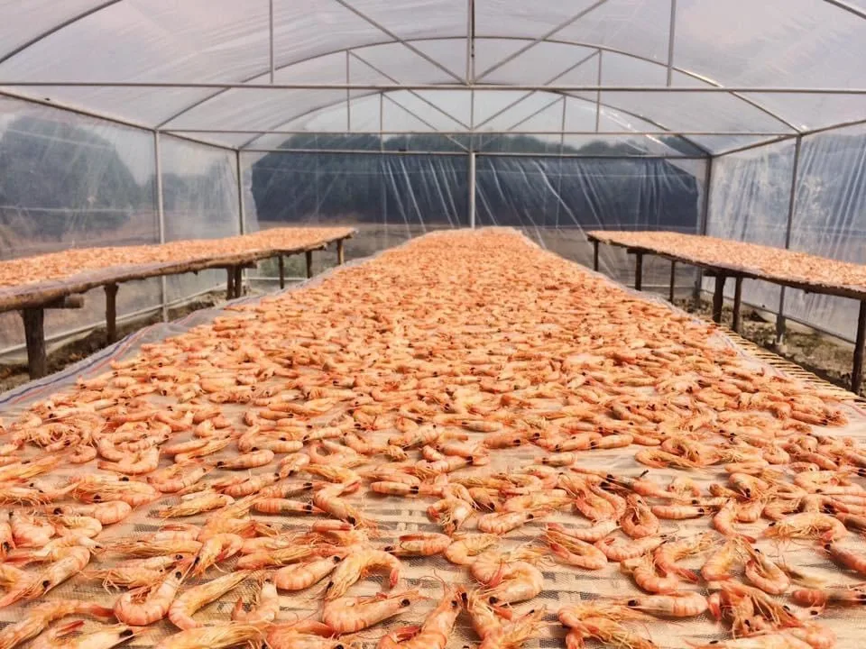 Tradition Dried Shrimp Wholesale Cheap Price Vacuum Pack High Quality Air Drying Process Seafood Certificated OEM Dried Shrimp