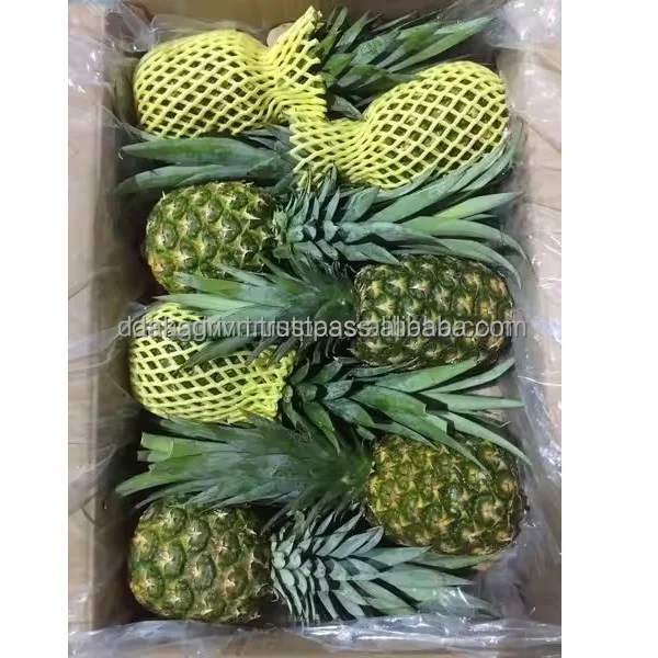 MD2 Pineapples Food Beverage Fresh Natural Sweet Cool Storage Tropical & Sub-Tropical Fruit From Vietnam