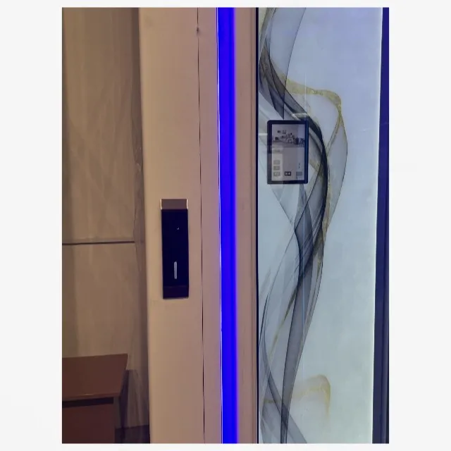 450 KG 630 KG Small Elevators For Home Lift Small House Elevator Lifts