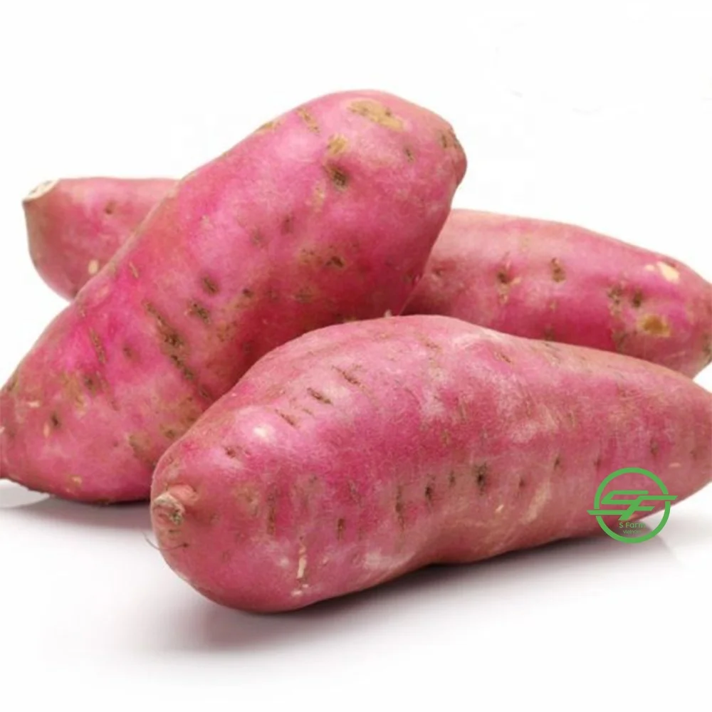 New Season High Quality Sweet Potatoes With Natural Sweet Taste Frozen Sweet Potato From Vietnamese Wholesaler