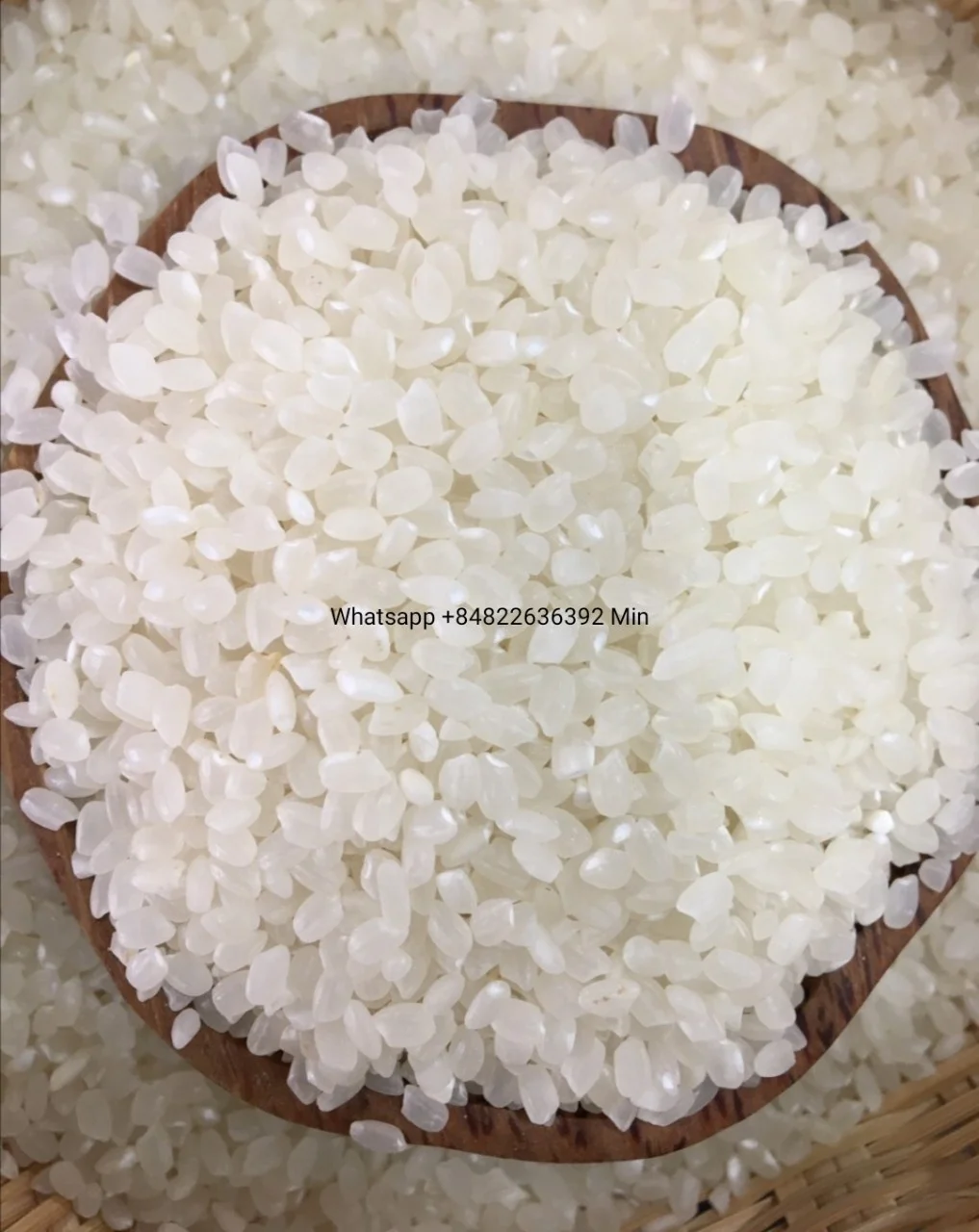 Gold Supplier Cheapest Wholesale 5% Broken Long Grain Rice Japonica Rice
