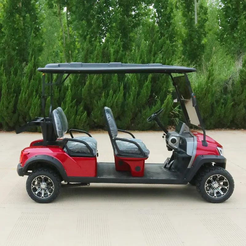 48v Electric Golf Cart 2 Seater Lithium Hunting Off Road Golf Cart Electric Sightseeing Bus with Door