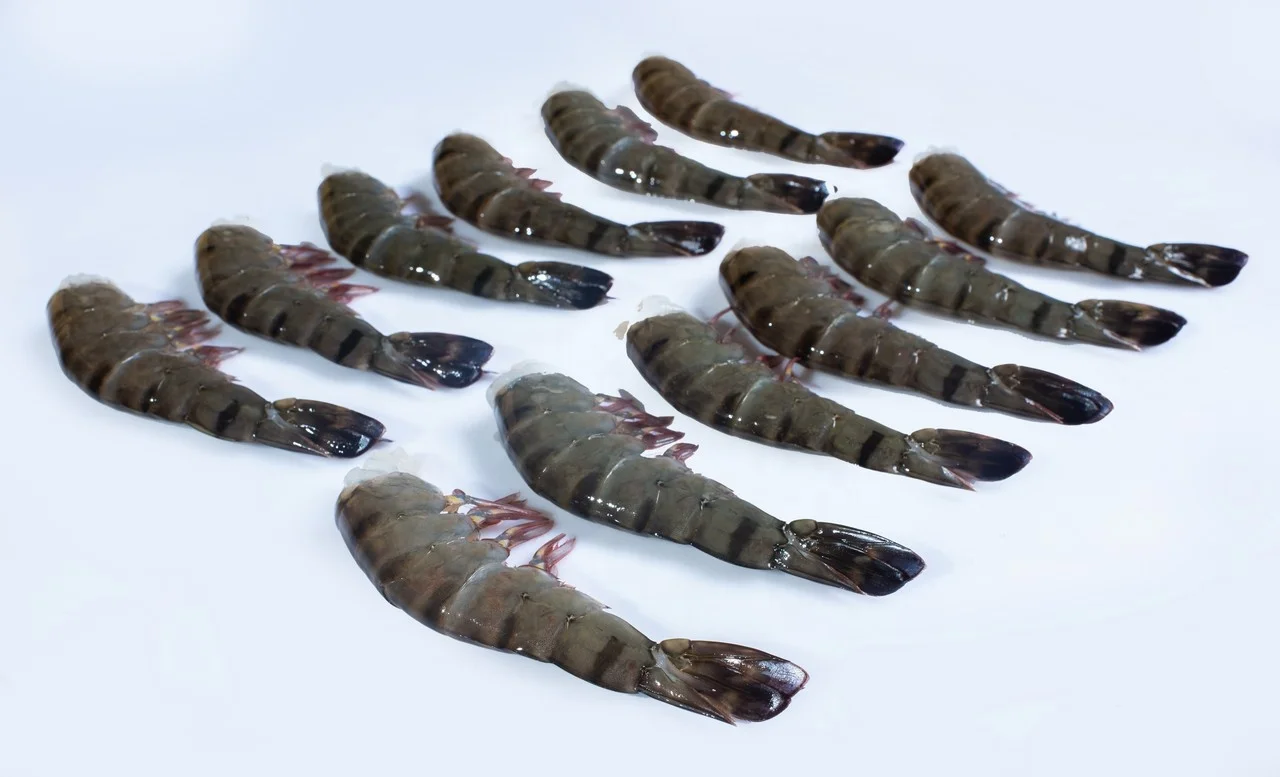 Вьетнамское производство поставка высококачественных вкусных необработанных/готовых HLSO (EZP) черных тигровых креветок-готов к отправке