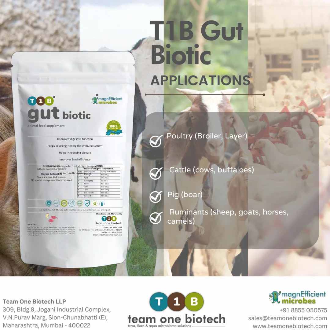 High Stability Gut Biotic for Livestock Feed