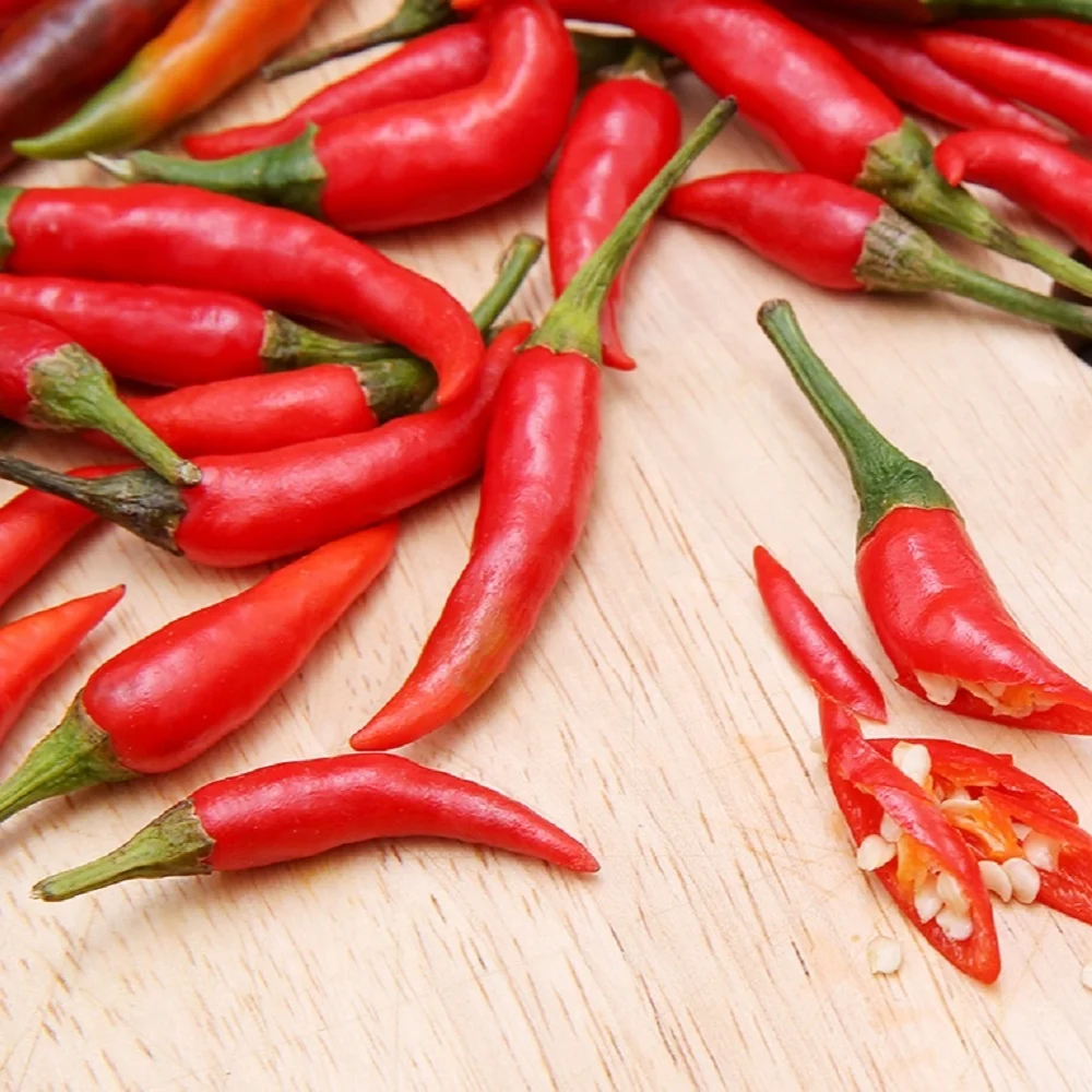 Top Sales From Vietnam Low MOQ Custom Logo Fresh High Quality Good Price Package Red Chili