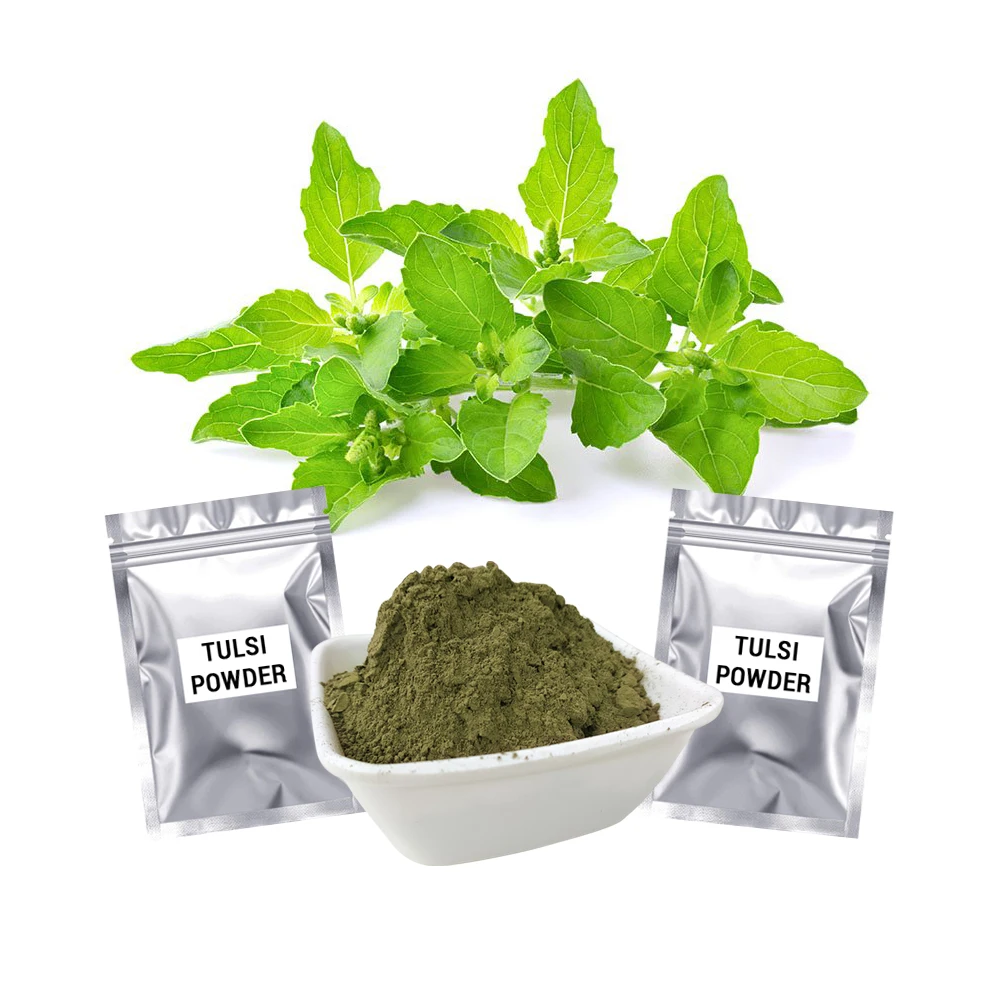 Best Quality Tulsi Leaves Powder For Hair Treatment 100 Gram Packing Custom OEM Private Labelling Available
