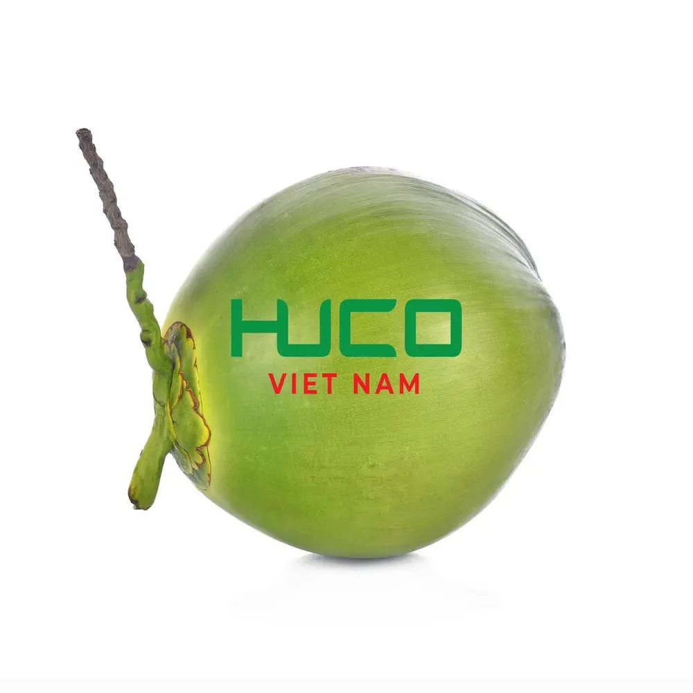Cheap Price High Quality fresh coconut - fresh sweet young coconut organic from Vietnam