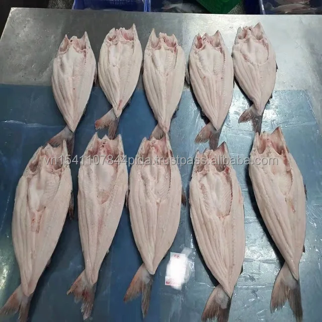 New Season Whole Round Frozen Black Tilapia