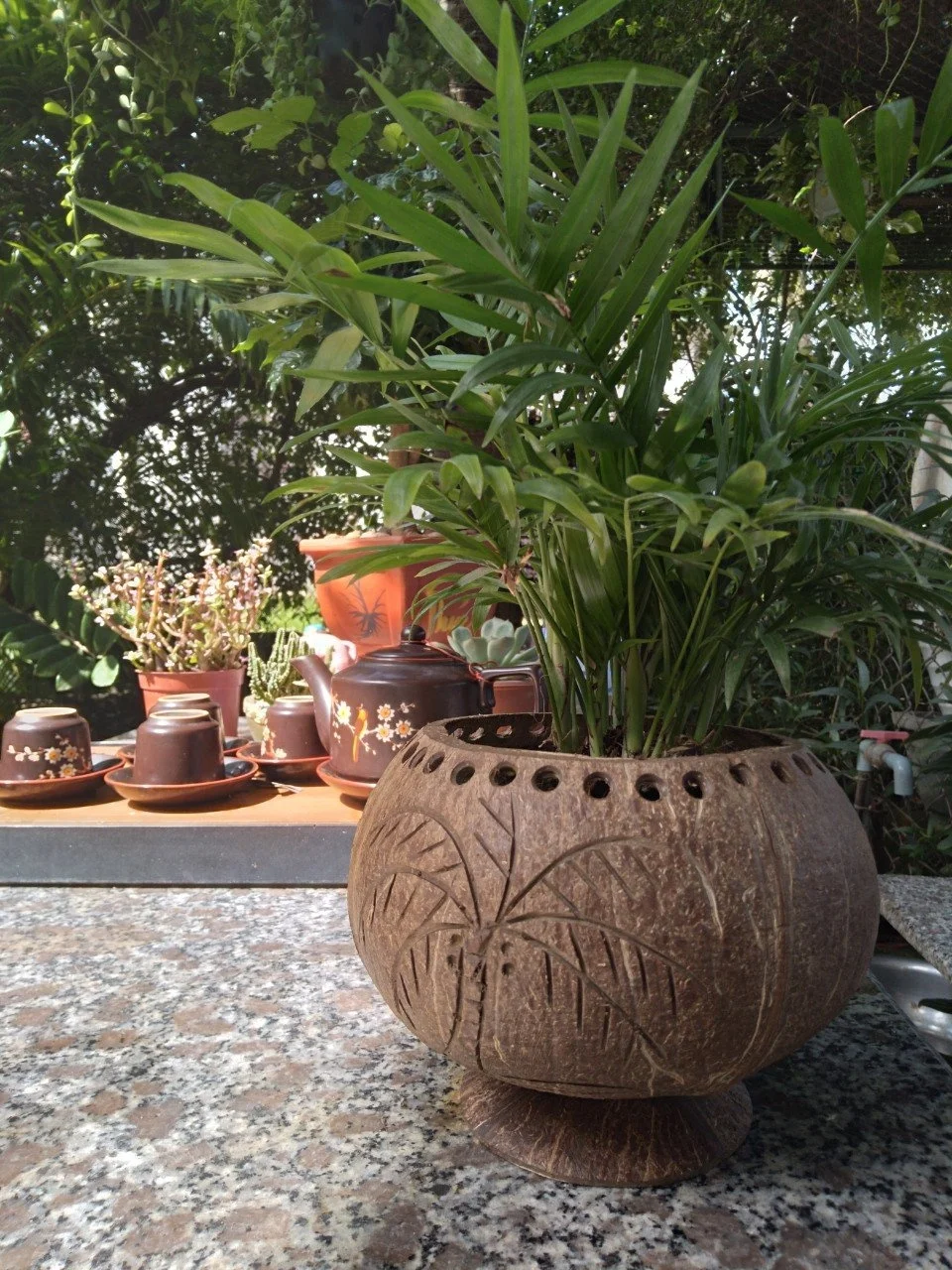 High quality Eco-friendly Coconut Shell Pot Flower Pot Vietnam Export Products