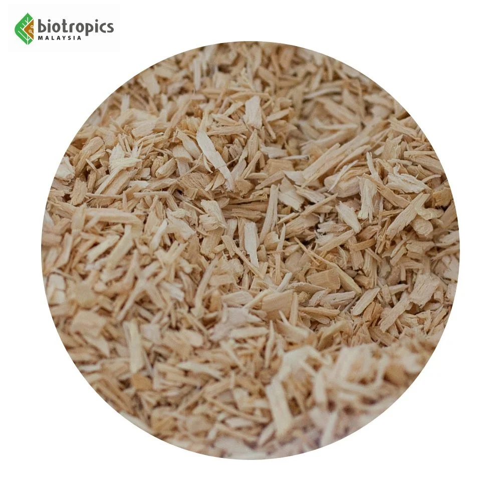 New Arrival Malaysia Tongkat Ali Root Extract Powder PG5 as a Natural Energy Enhancer