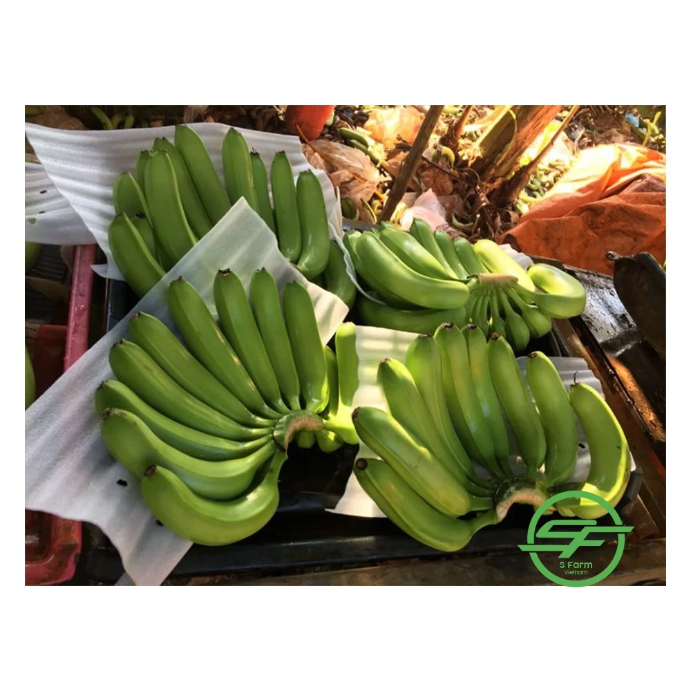 Упаковочные коробки новая цена 2021 свежий банан Cavendish из Вьетнама