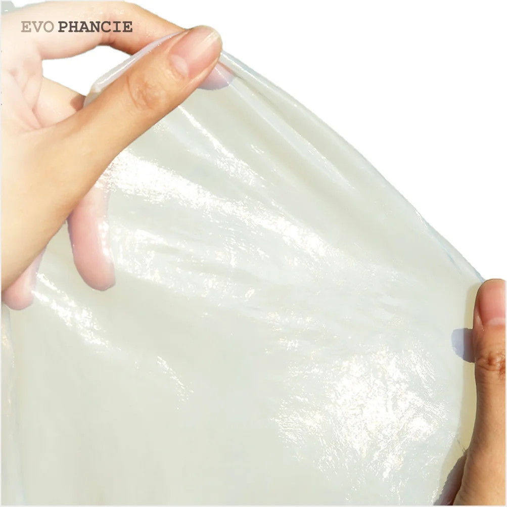 Bio cellulose sheet bio cellulose membrane