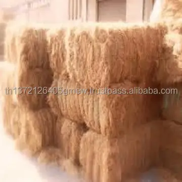 SISAL FIBER BEST PRICE / COCONUT COIR FIBER