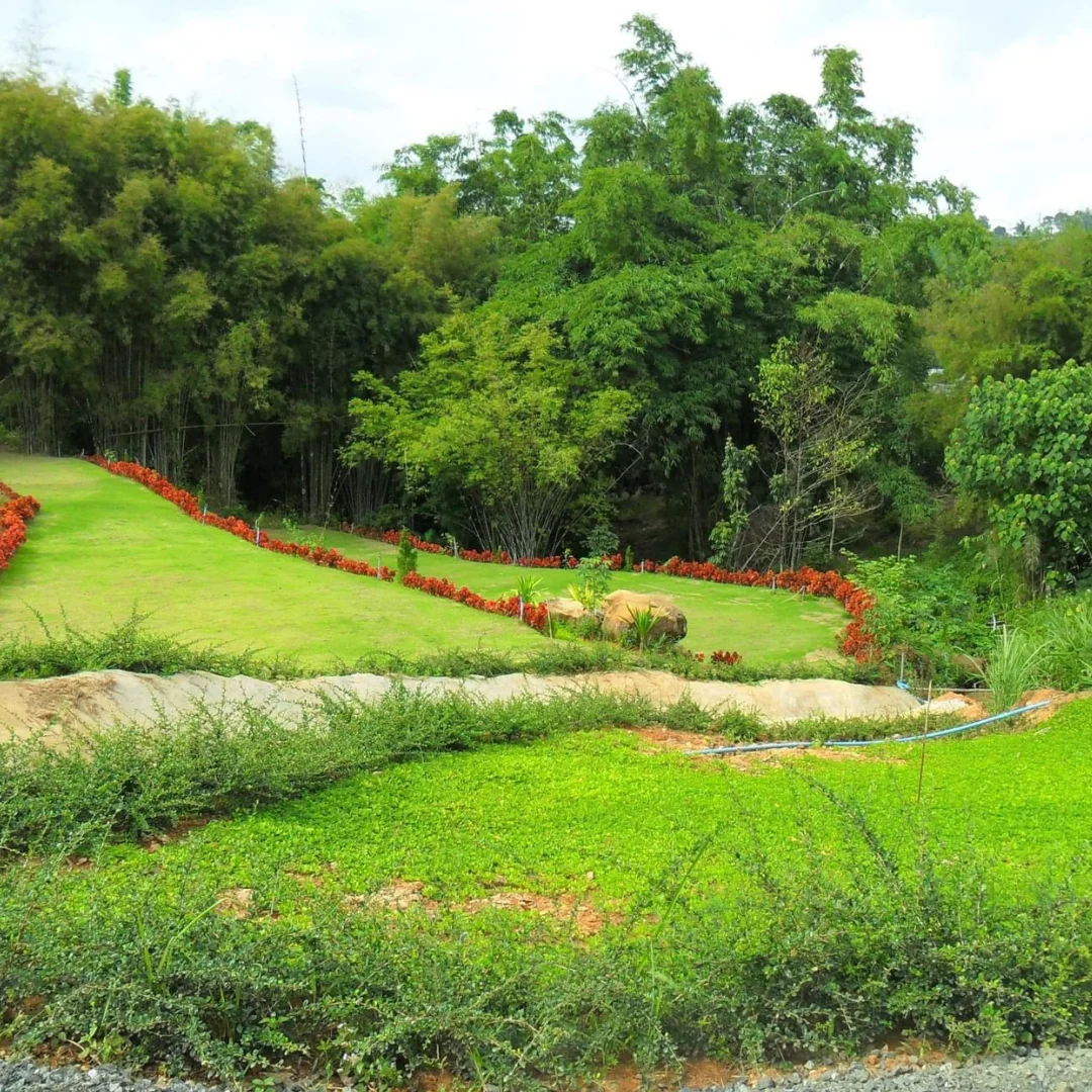 Amazing Thailand Tour Traveller Accomodation Services near  Popular National Park at  Khao Kho Petchabun Province