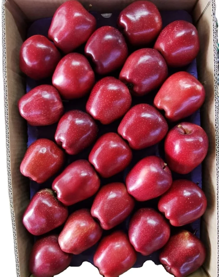 Fresh Apples From Our Gardens Red Delicious Apples Maximum Crunchy fresh Apples from TURKEY