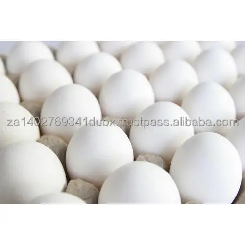 fresh-white-eggs-500x500.jpg
