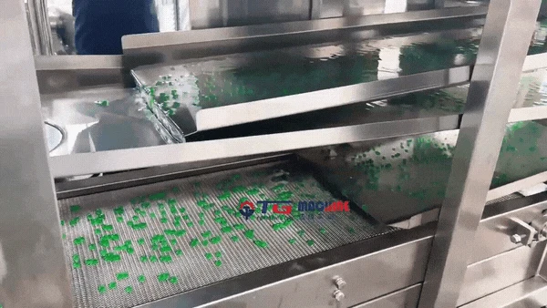 TGP50 Semi-Automatic Popping Boba Machine for Sale-Ideal for Summer Popping Boba Production Lines.