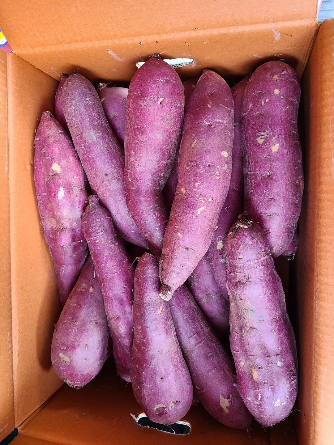 Korean Honey Sweet Potato