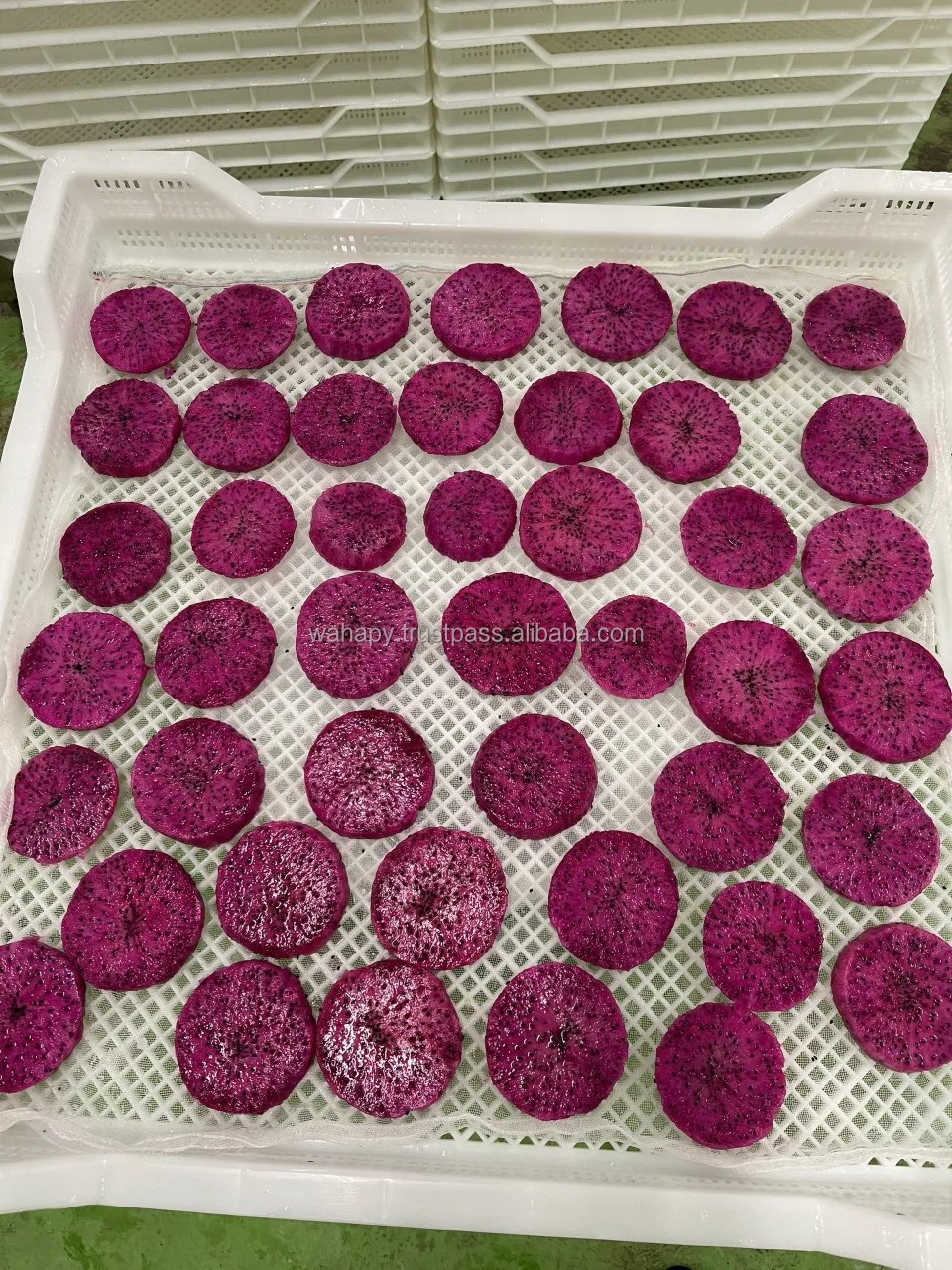 Organic Dried Fruit	Free Sample	Dragon Fruit Freeze Dried Powder	from FRUITBUYS VIETNAM