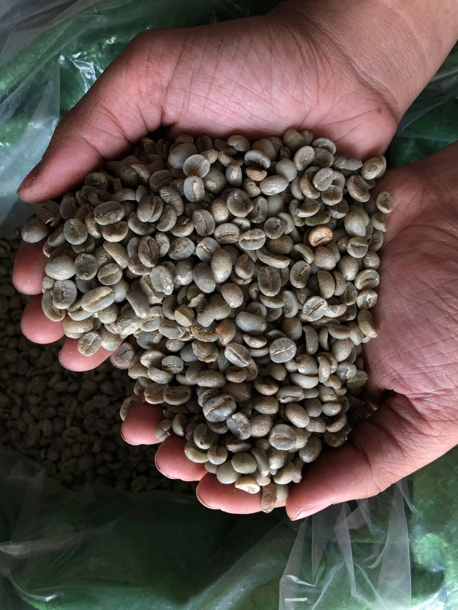  Высококачественный новый урожай 2021 Arabica Cau Dat Wet S18 кофе Вьетнам кофейные