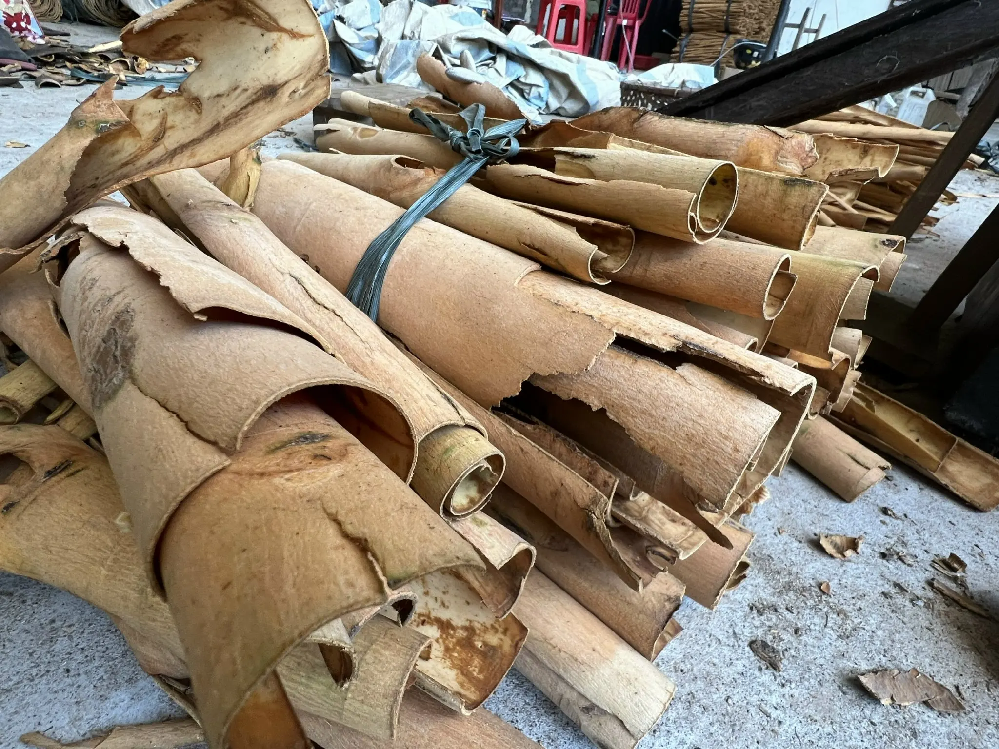 cigarette cassia sticks Hot product spices & herbs100% Natural Dried Cinnamon from Vietnam 2022 (+84 393 411 961)