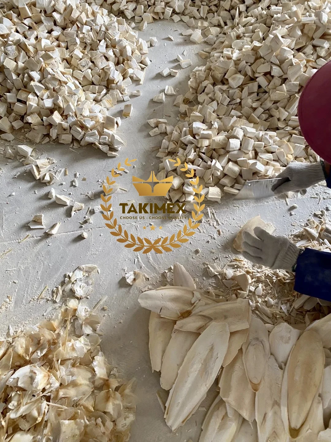 Crushed cuttlefish bone/ sepia bone by pieces customized packing free size from Vietnam for exporting