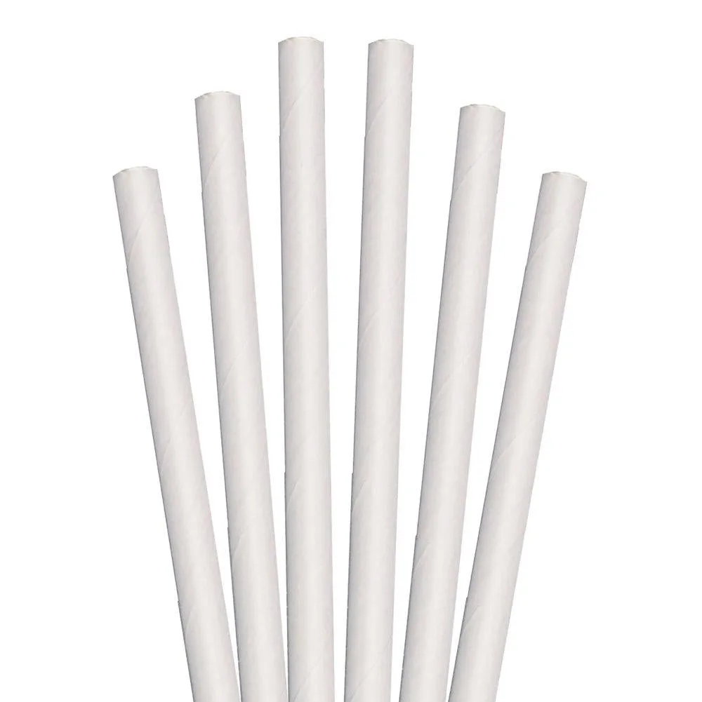 Cheapest Price Non PLA Paper Straws Drinkware Accessories Viet Nam Plain White Paper Straws Wholesales